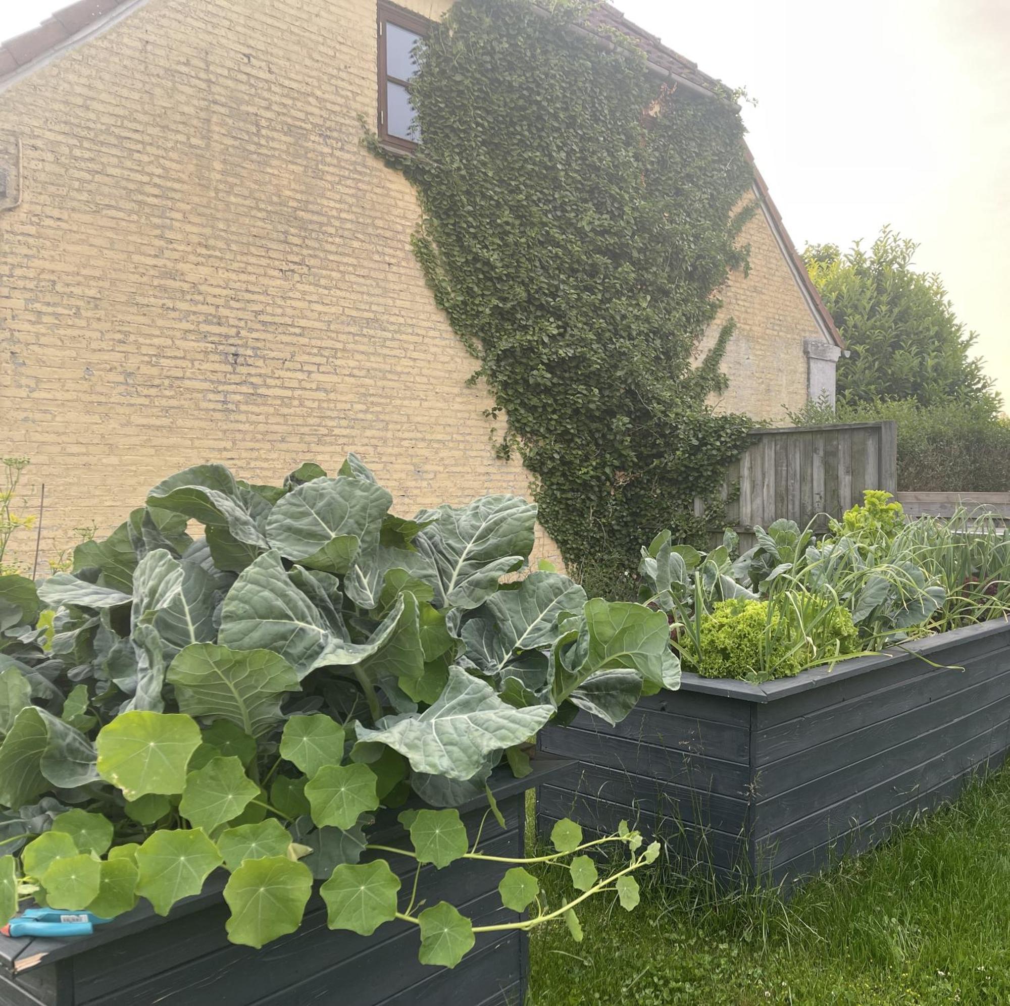 Jygge- Hyggelige Ferienwohnung Nordborg Esterno foto